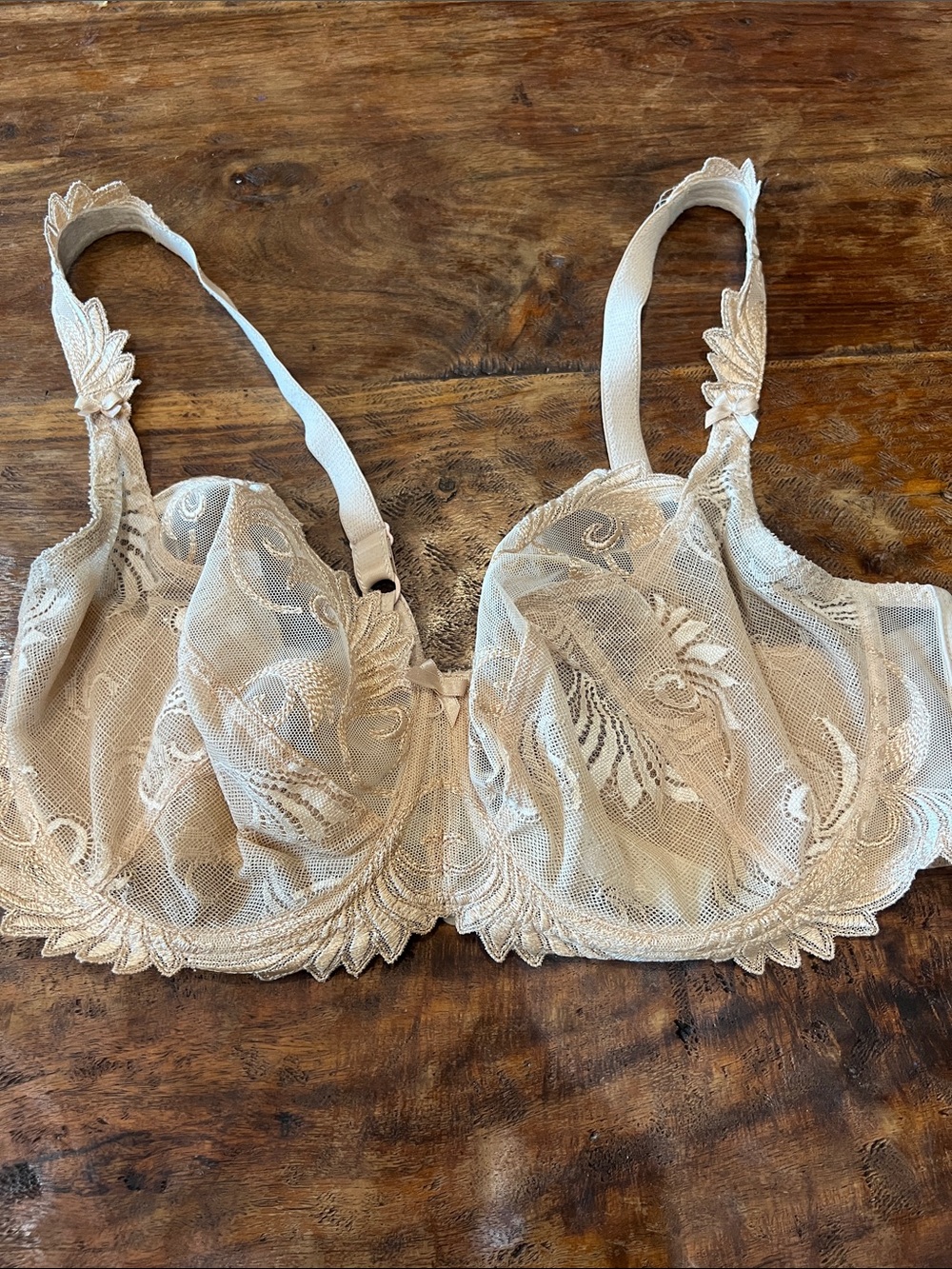 Sheer Lace Underwire Empreinte Bra in Champagne
